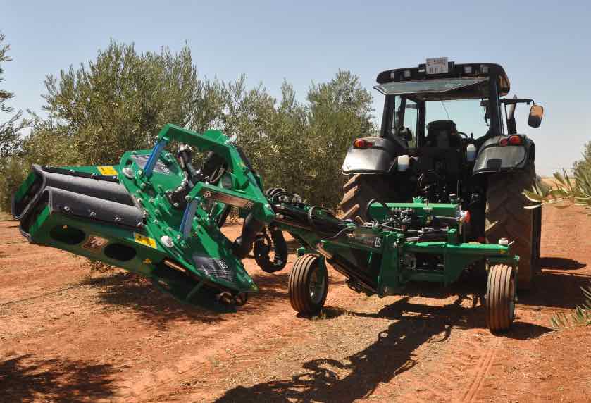 Bautista Santillana's TR Rear Vibrator TR hitched to tractor for olive harvesting.