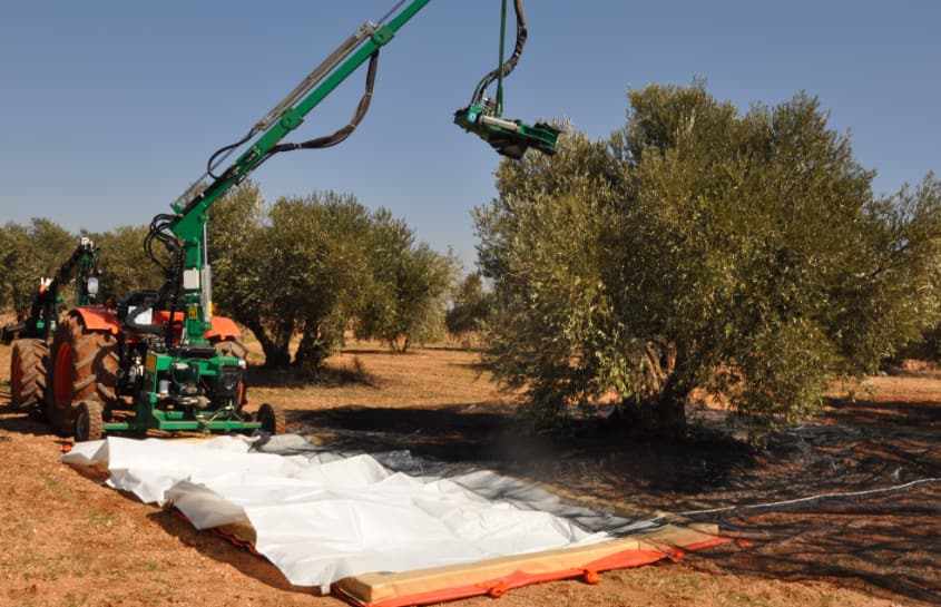 tractor with vibrator hp360 pendulum in olive grove